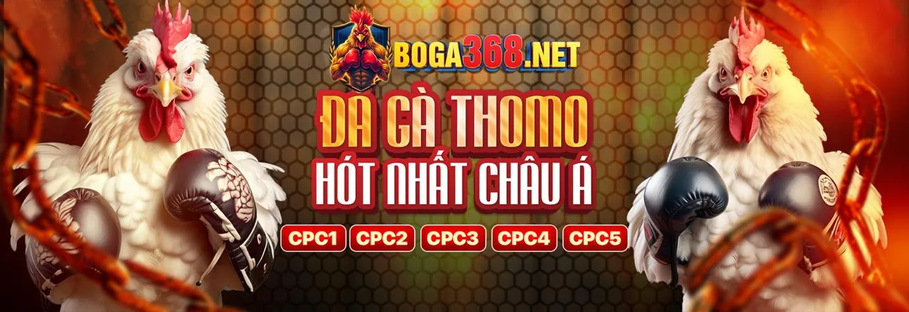 Hình ảnh trách nhiệm của người dùng e888